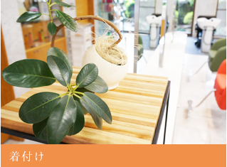 美容室TERU fille[テルフィーユ]奈良県大和郡山の美容室 | 着付け